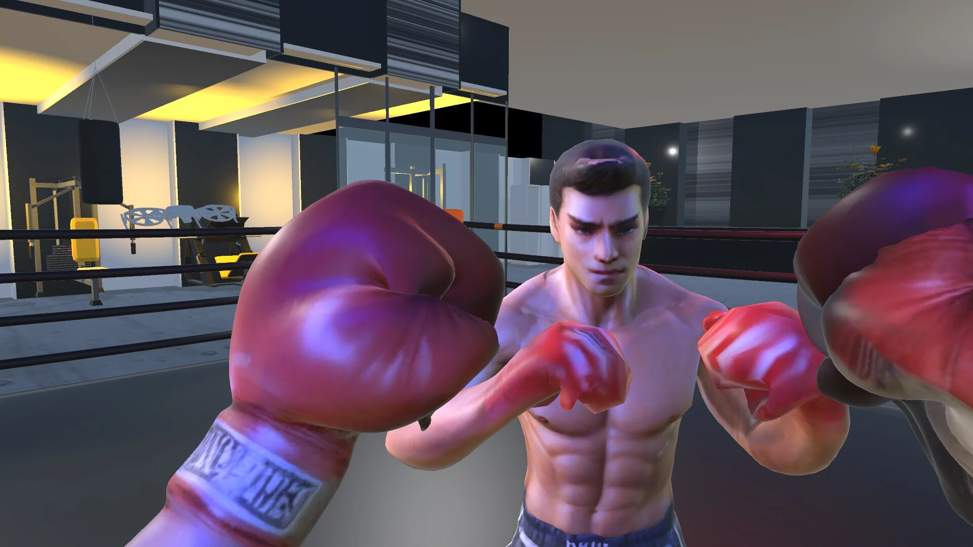Изображение игры: Shuruka Boxing