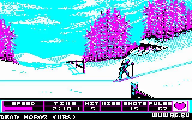 Изображение игры: Winter Games