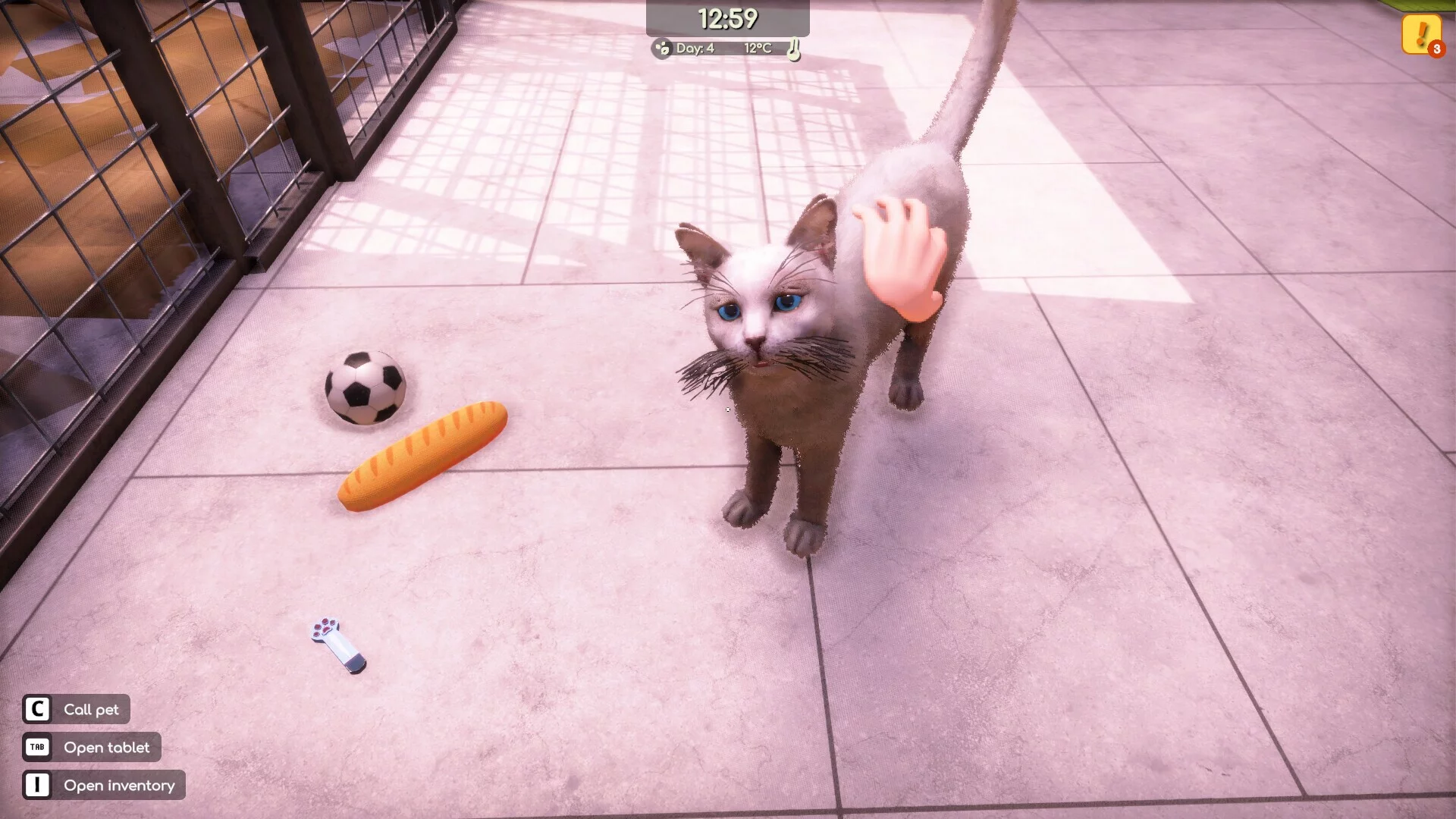 Изображение игры: Animal Shelter 2