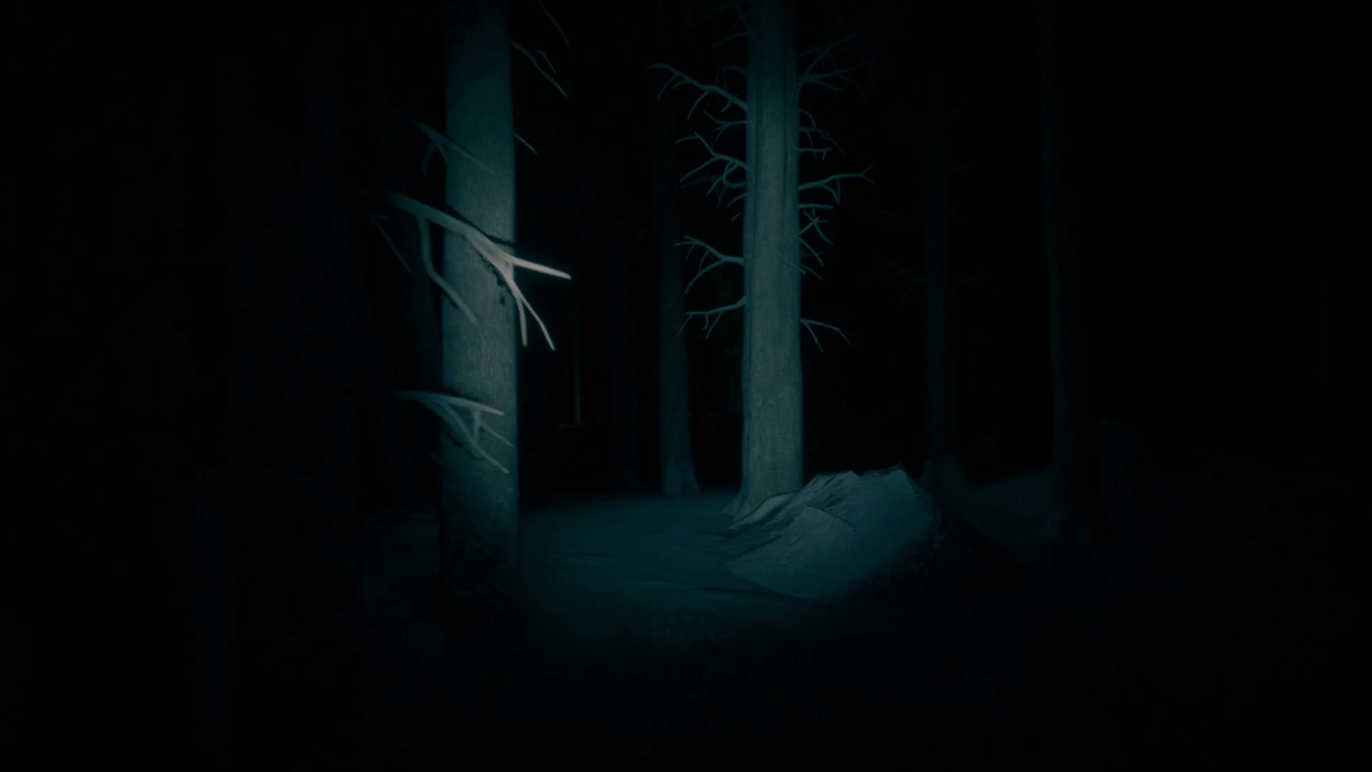Изображение игры: The Last Ski Trip