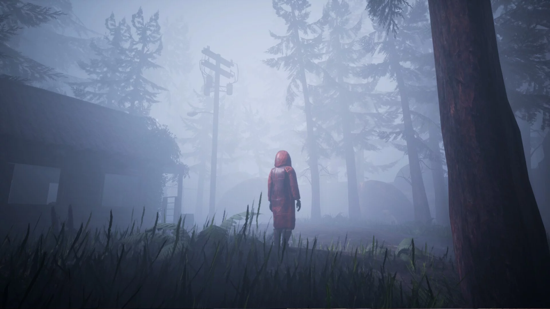 Изображение игры: Veil of the Skies