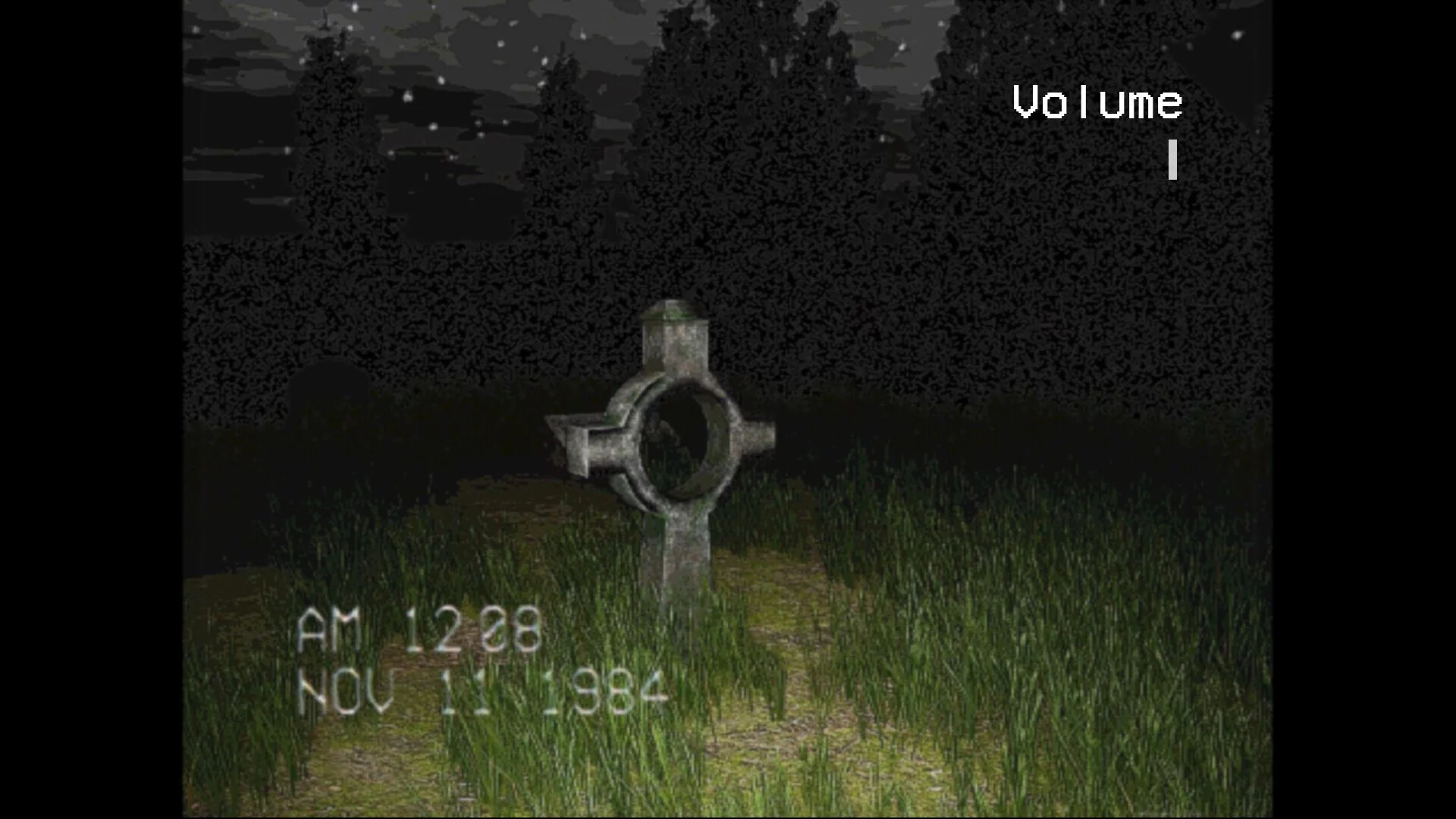 Изображение игры: The Silent Witness