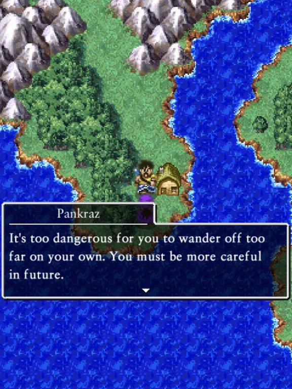 Изображение игры: DRAGON QUEST V