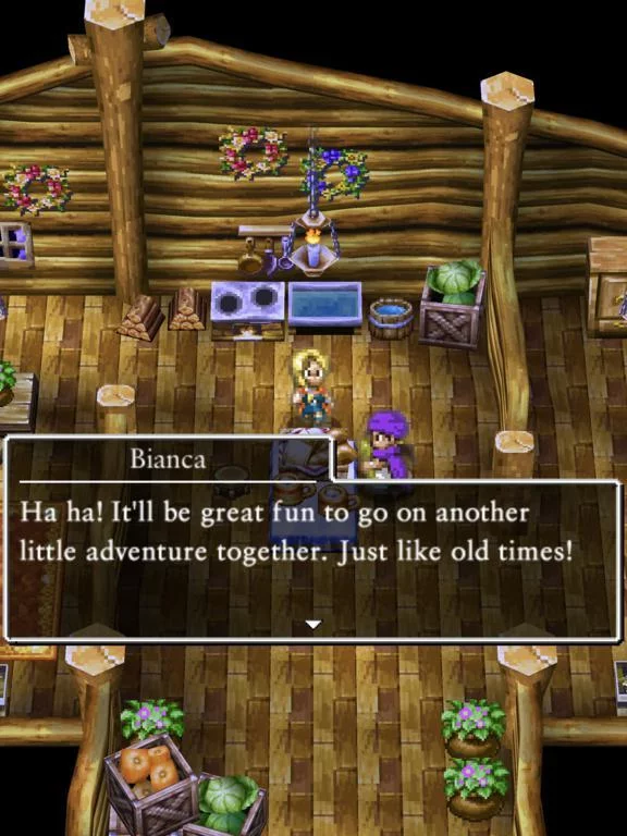 Изображение игры: DRAGON QUEST V