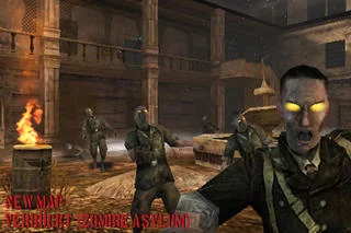 Изображение игры: Call of Duty: Zombies