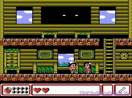 Изображение игры: Adventure Island IV