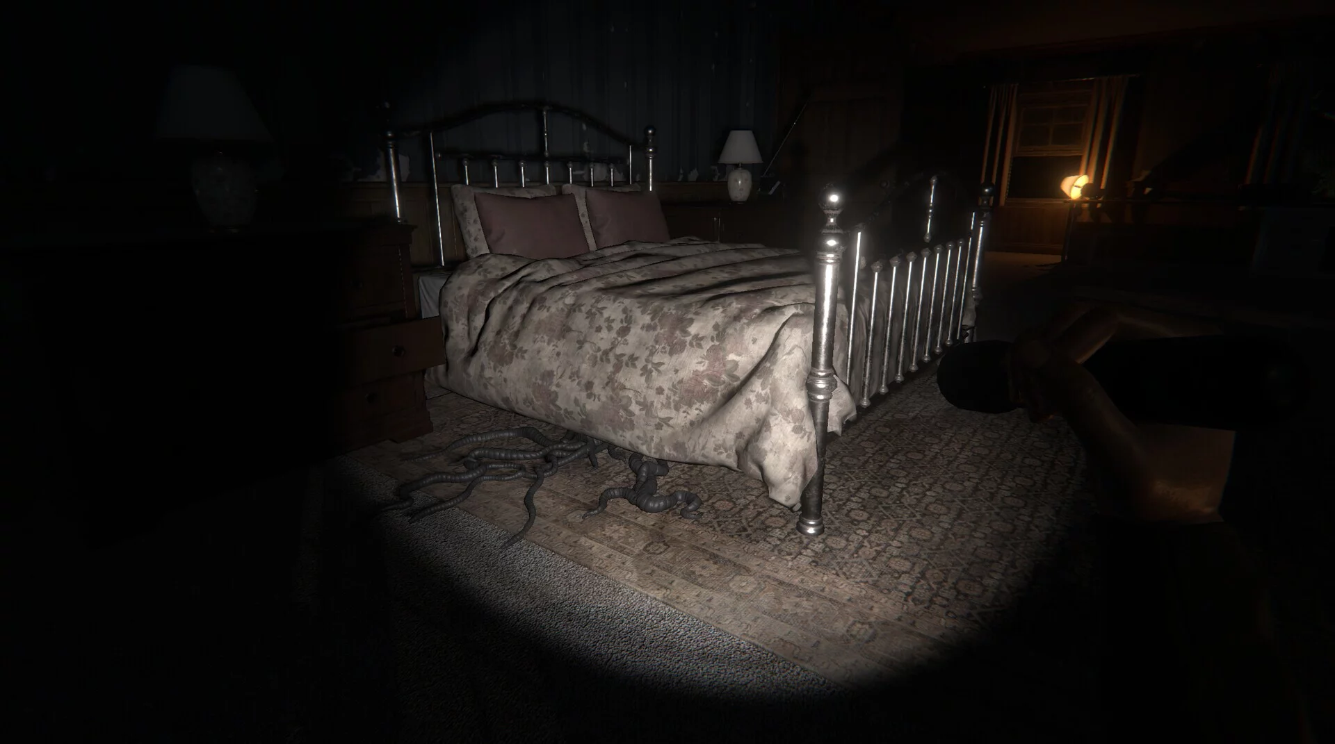 Изображение игры: The Echo Paradox