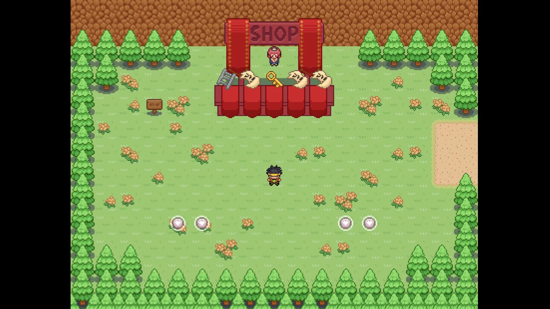 Изображение игры: Hero of Cursed Island