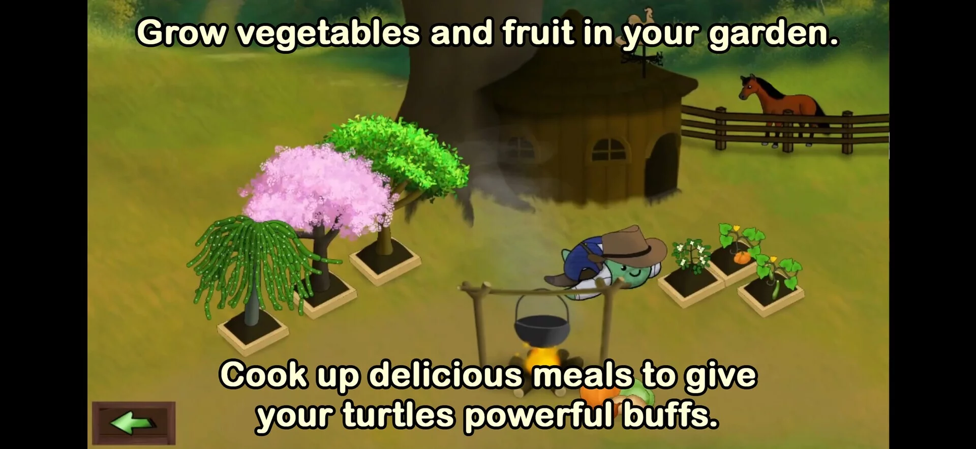 Изображение игры: Pocket Turtles