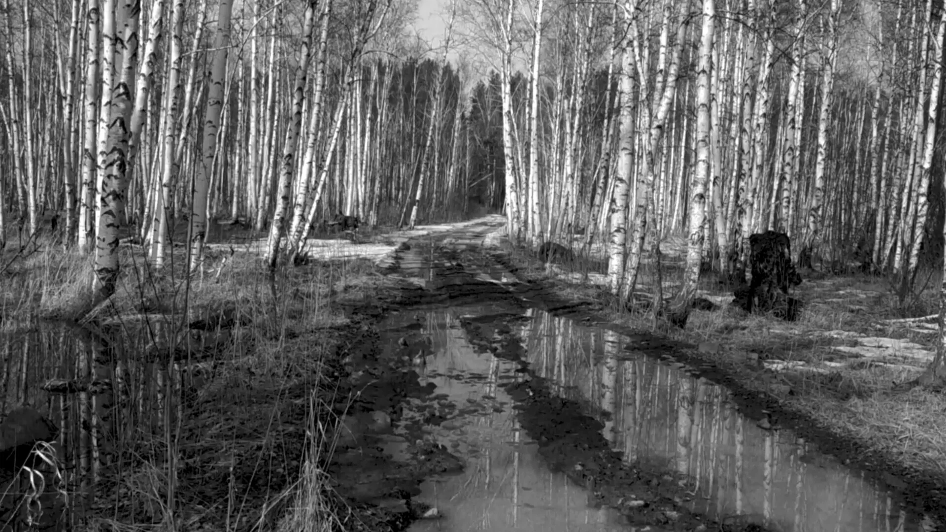 Изображение игры: Russian Psychiatric Pastoral: Prologue