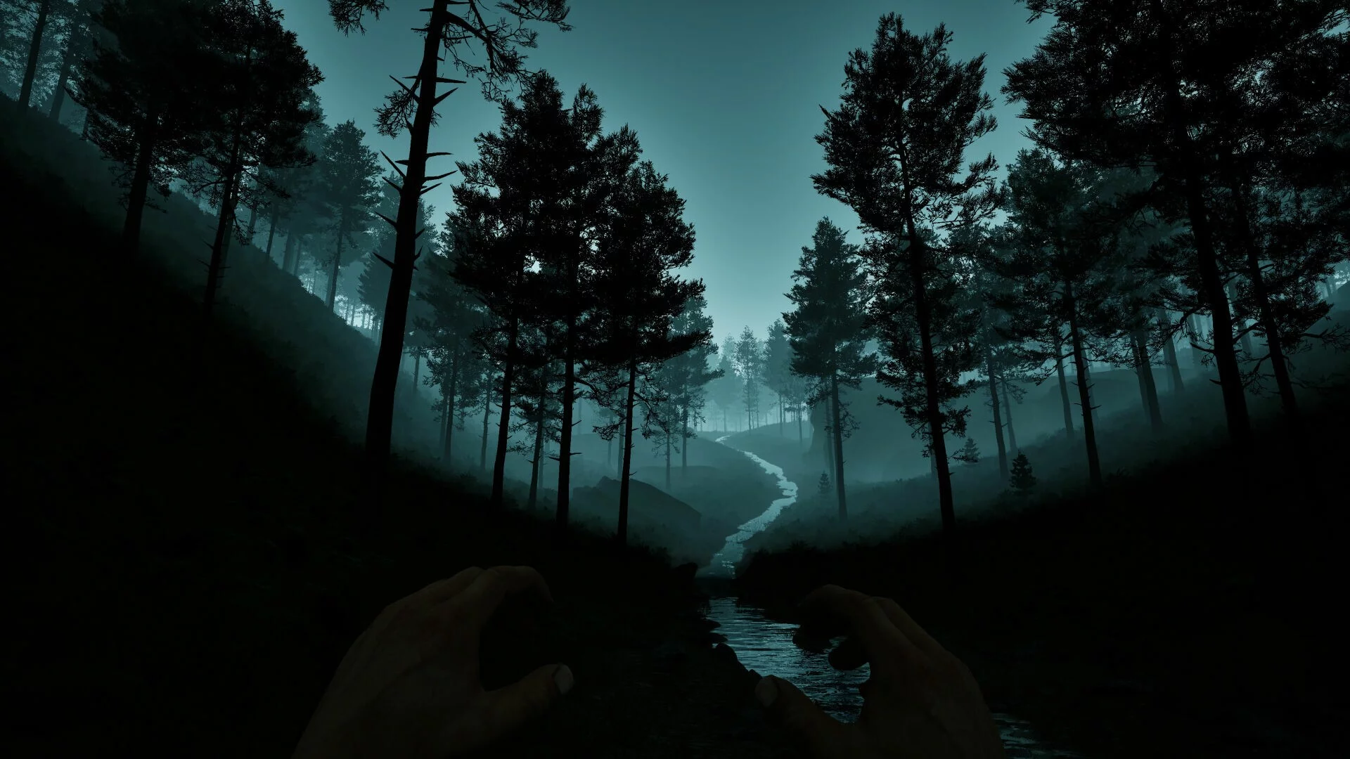 Изображение игры: Dark Realms: Mysteries of Hoia Baciu Forest