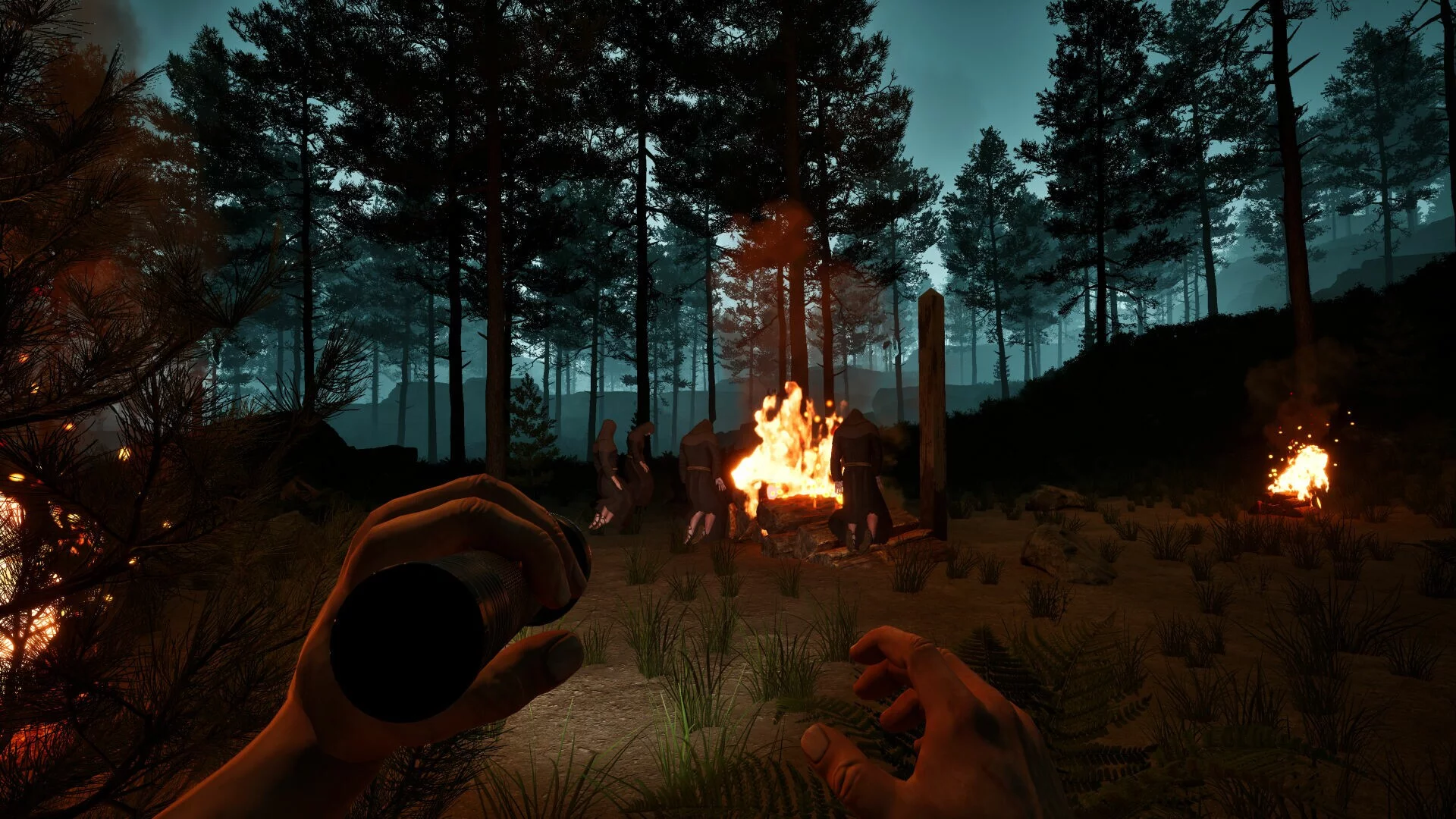Изображение игры: Dark Realms: Mysteries of Hoia Baciu Forest