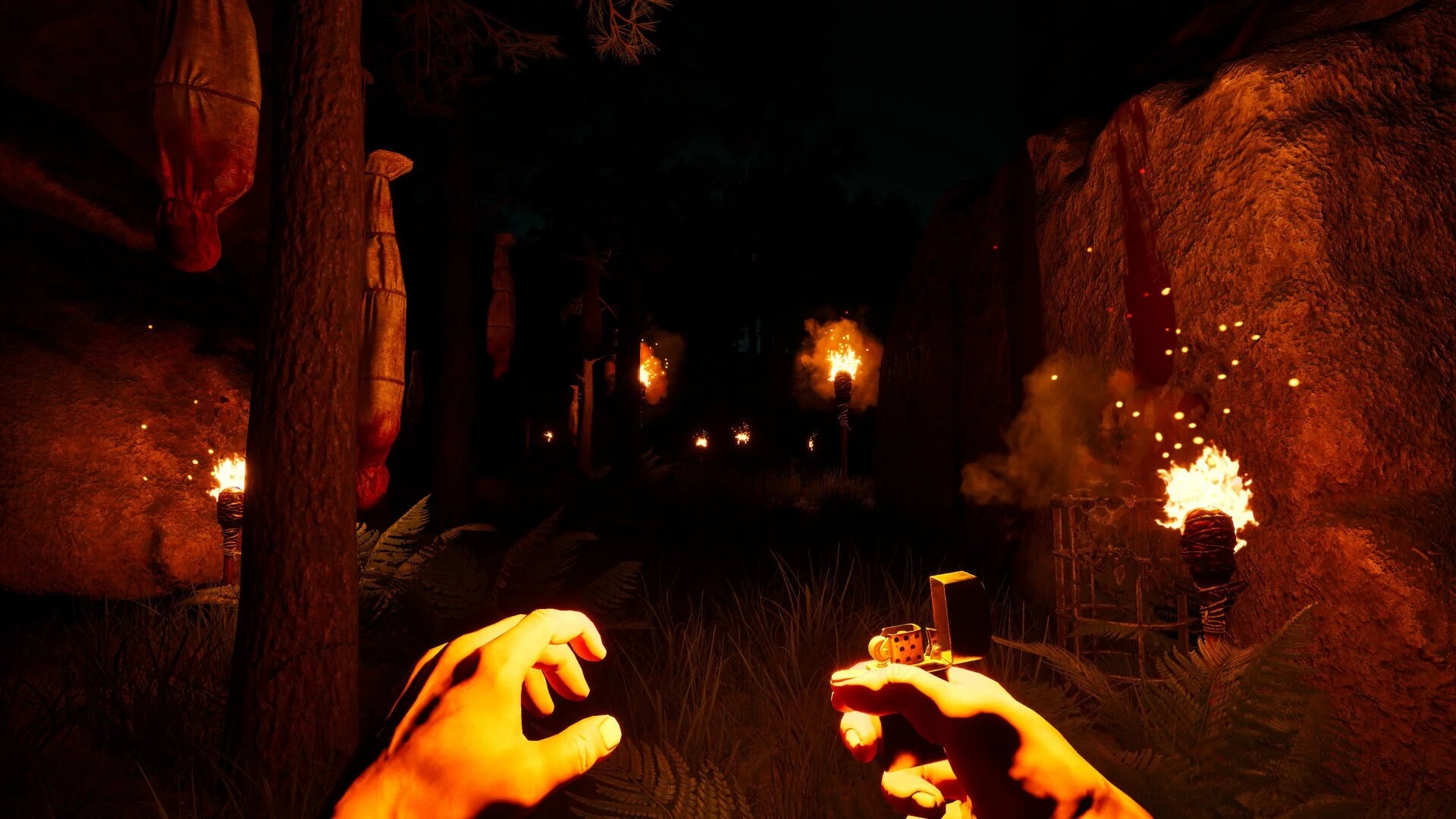 Изображение игры: Dark Realms: Mysteries of Hoia Baciu Forest