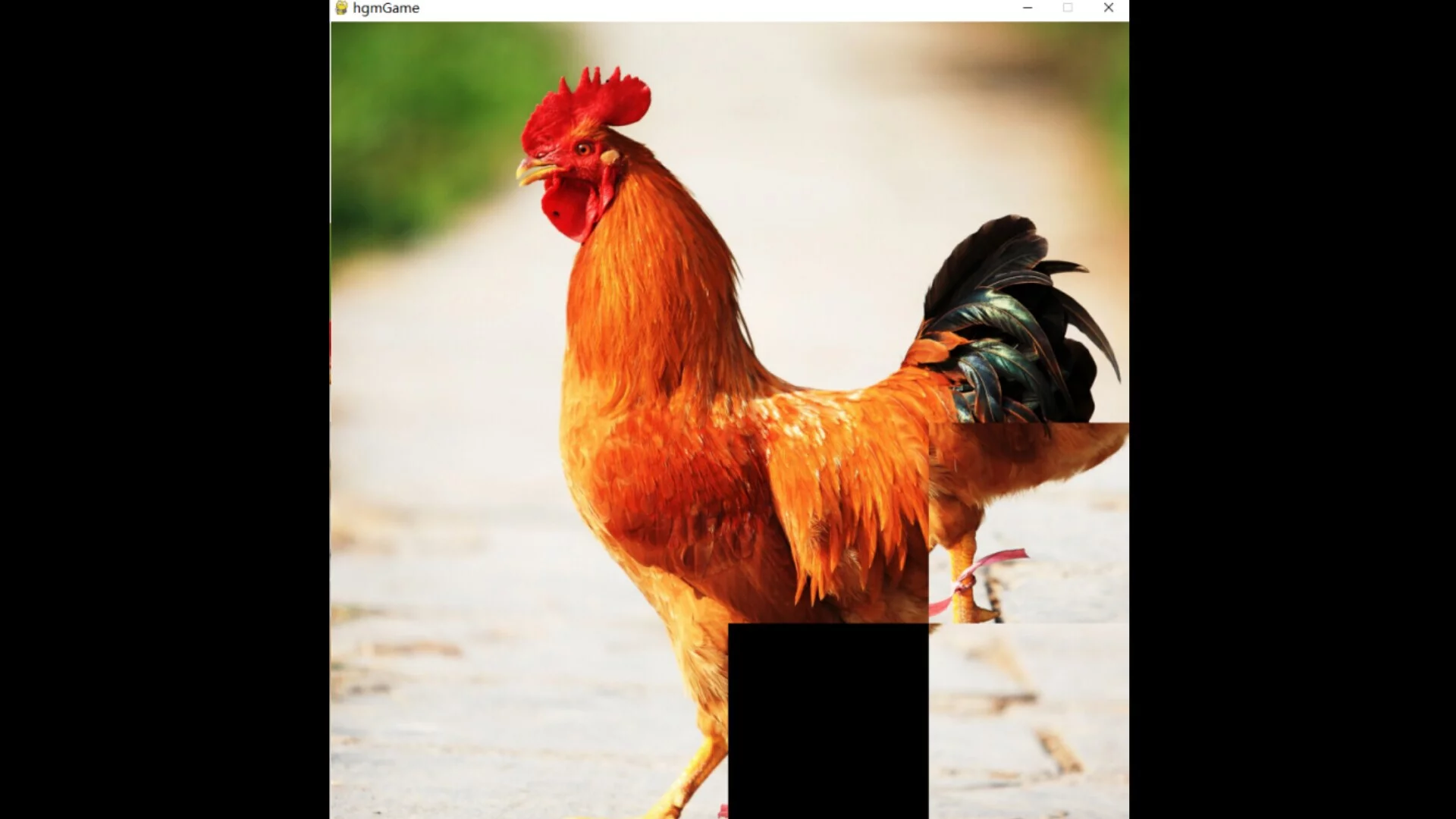Изображение игры: hgmGame-rooster