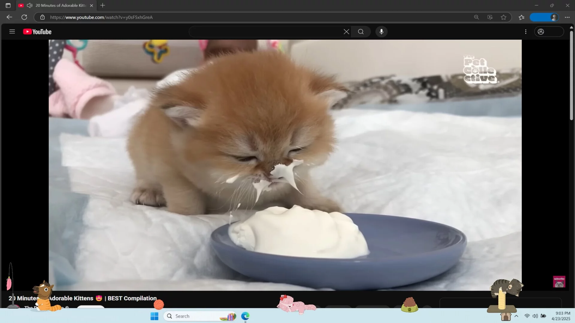 Изображение игры: Digital Desktop Cats