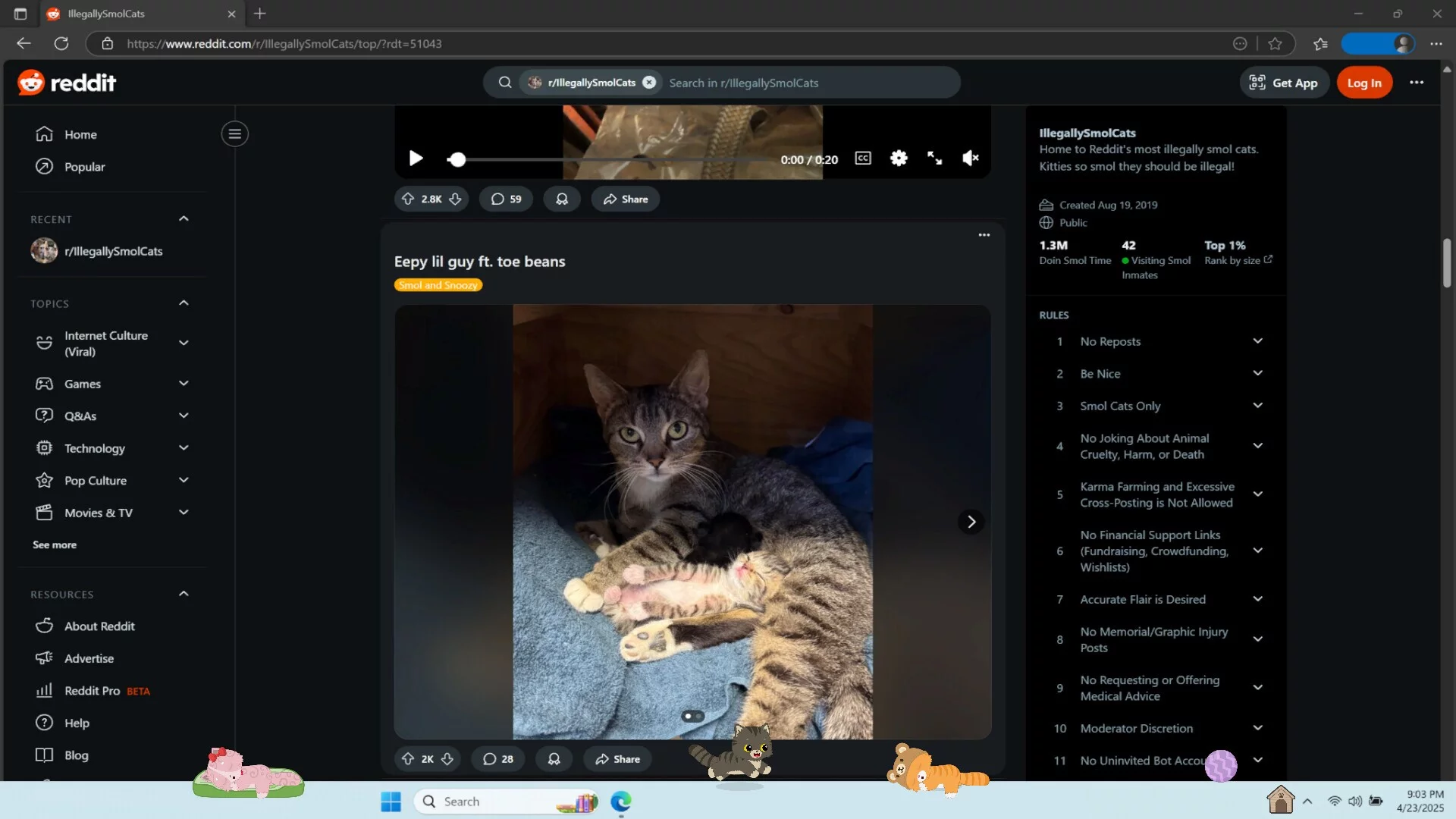 Изображение игры: Digital Desktop Cats