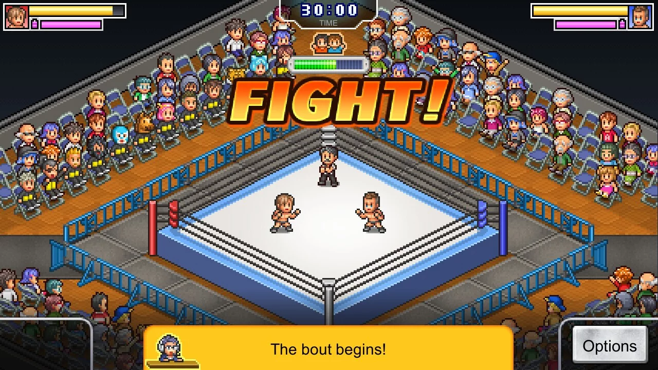 Изображение игры: Pro Wrestler Story