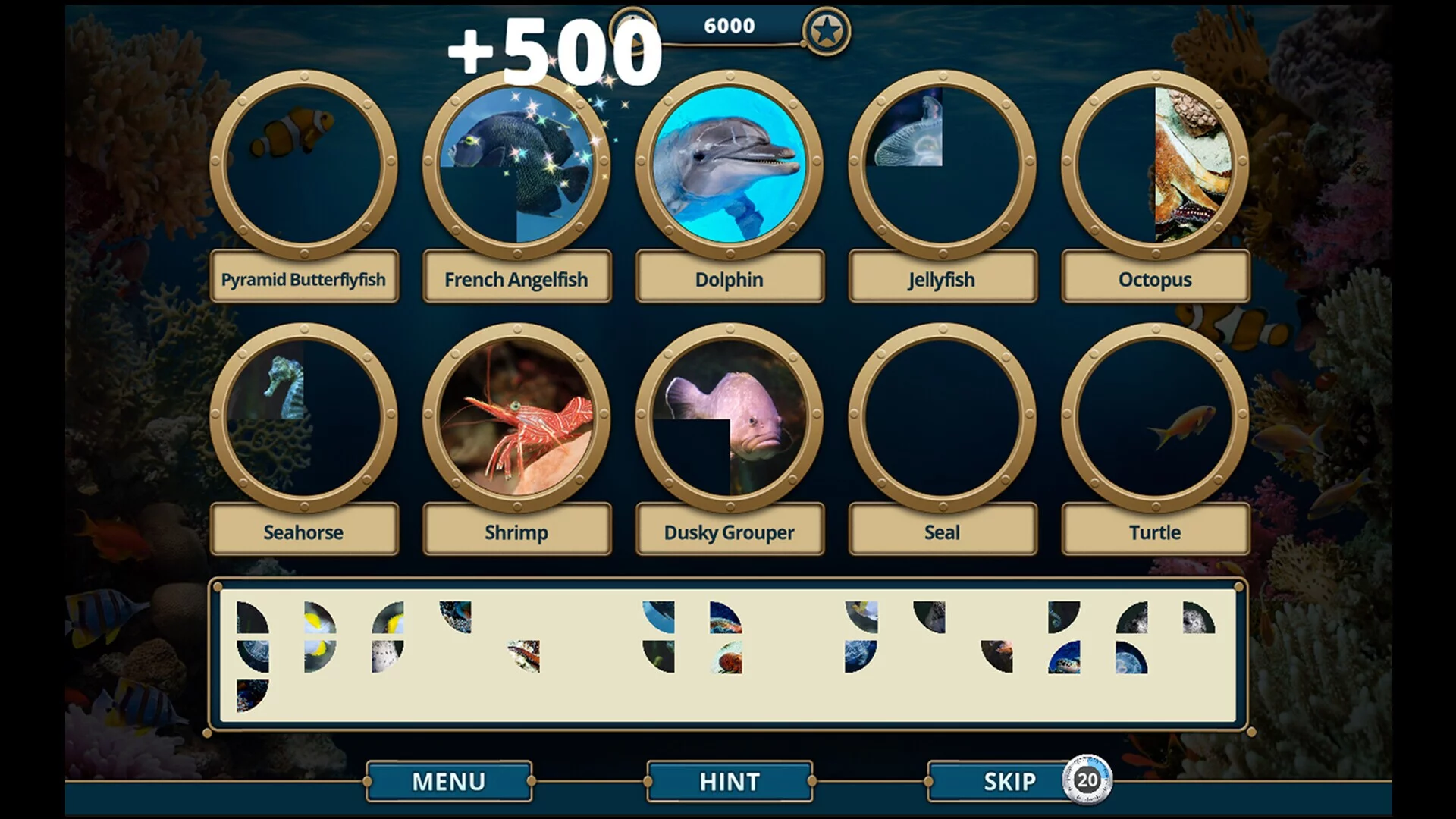 Изображение игры: Sea Life Explorer Collector's Edition