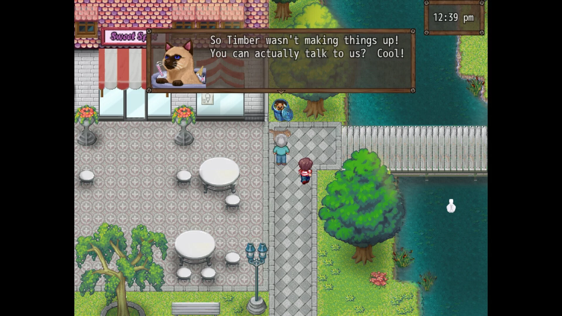 Изображение игры: Cat Crazy