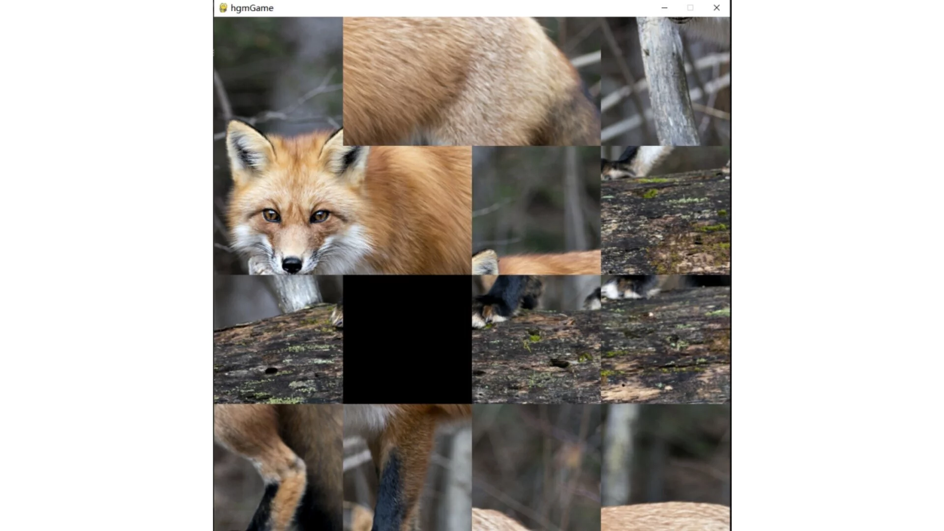 Изображение игры: hgmGame-fox