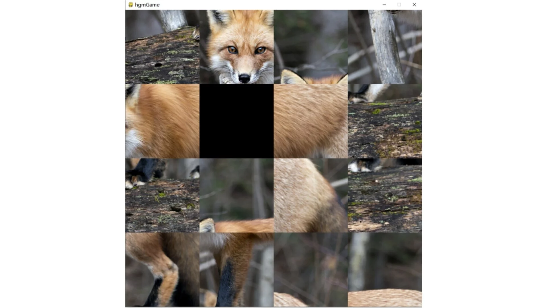 Изображение игры: hgmGame-fox