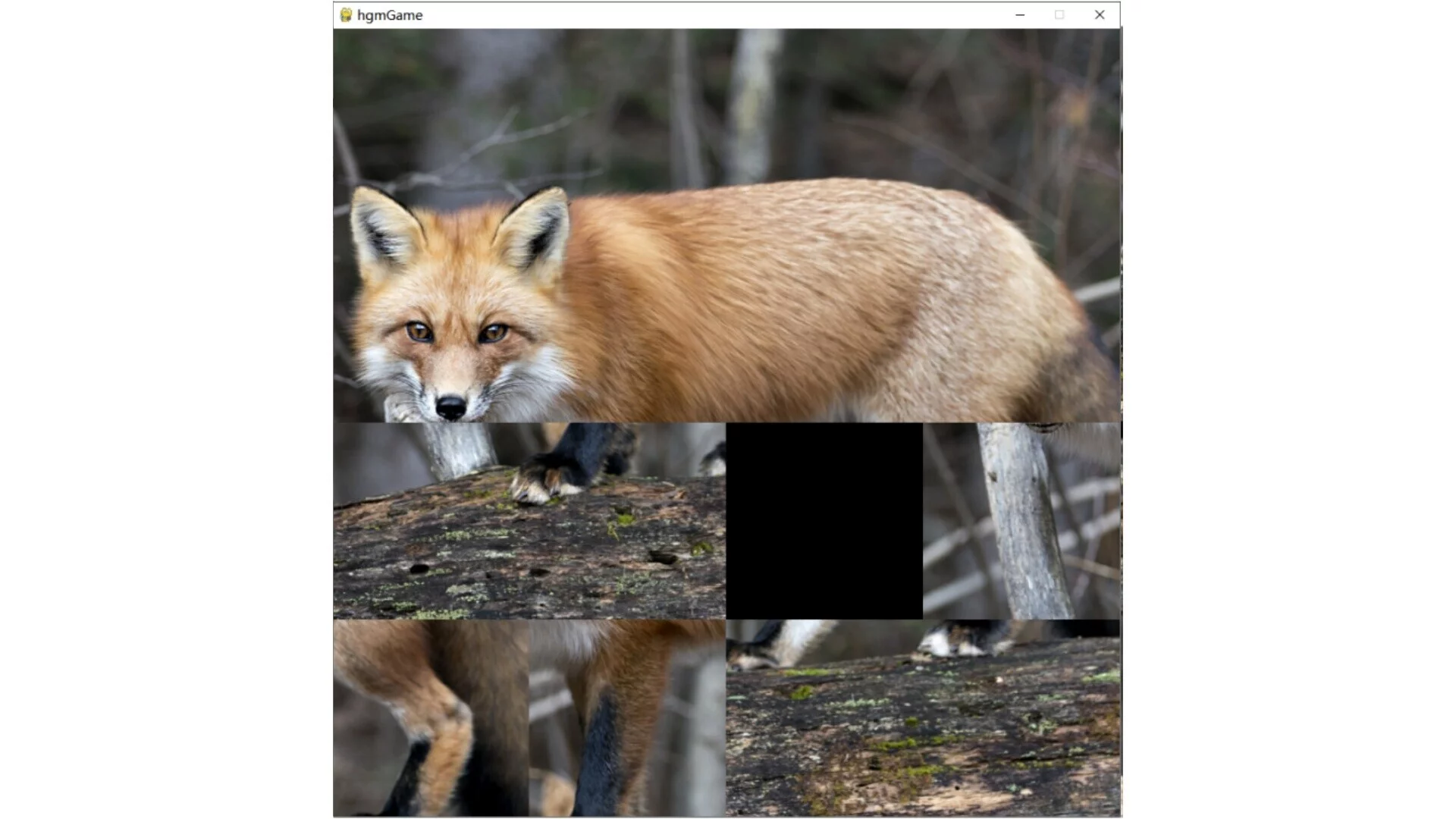 Изображение игры: hgmGame-fox