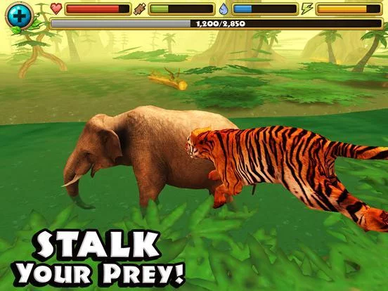 Изображение игры: Tiger Simulator