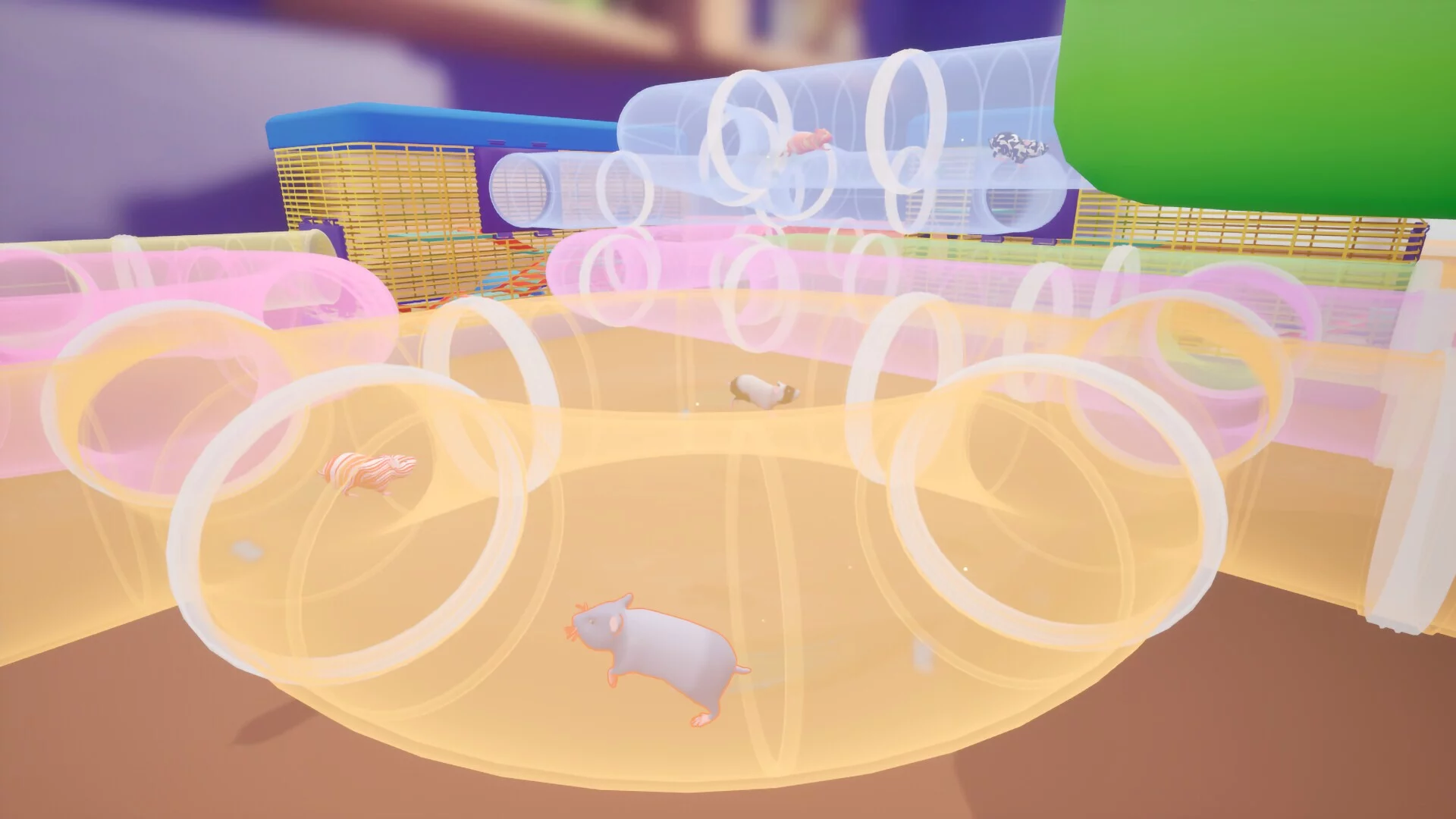 Изображение игры: Hamster Hustle