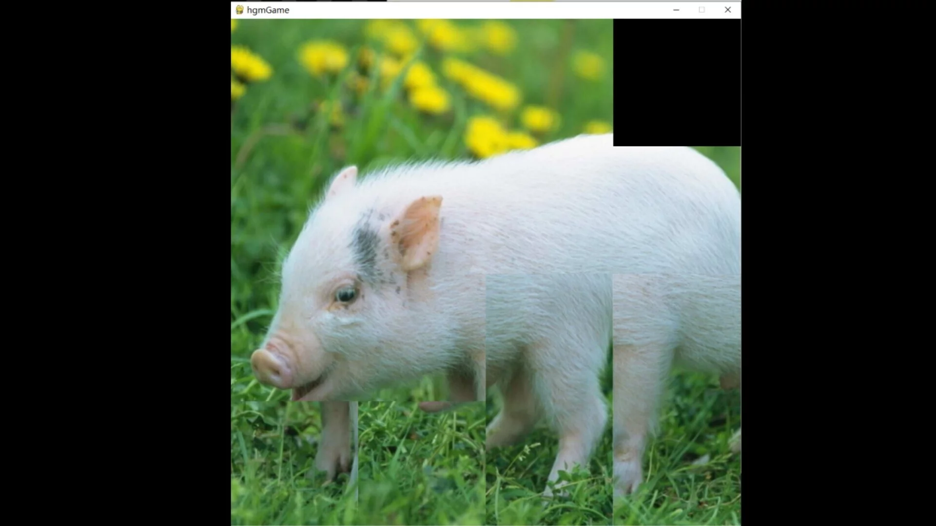 Изображение игры: hgmGame-pig