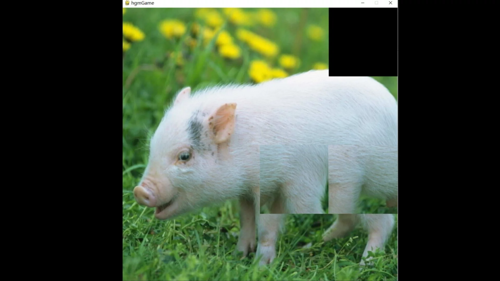 Изображение игры: hgmGame-pig
