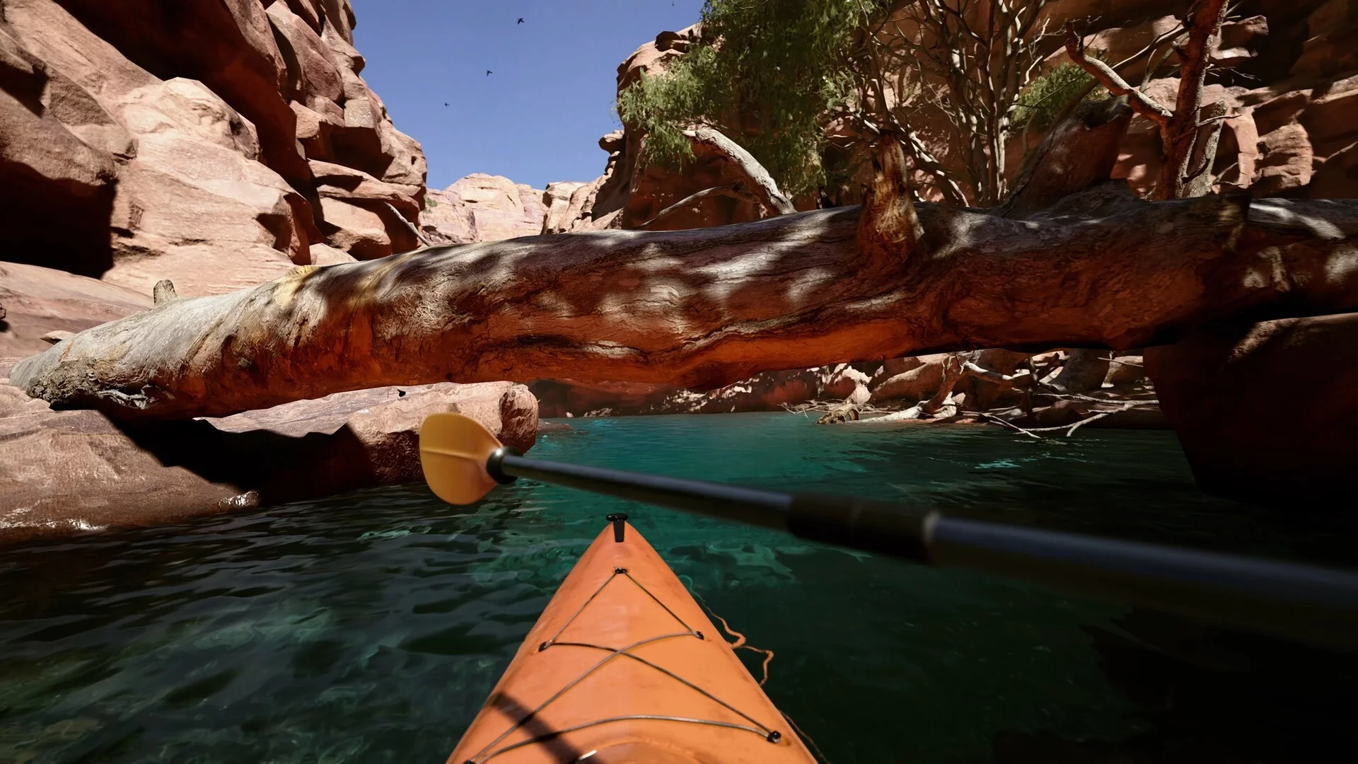 Изображение игры: Kayak VR: Mirage