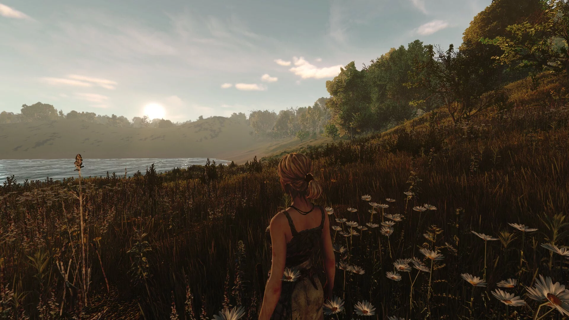 Изображение игры: Life is Feudal: Arden