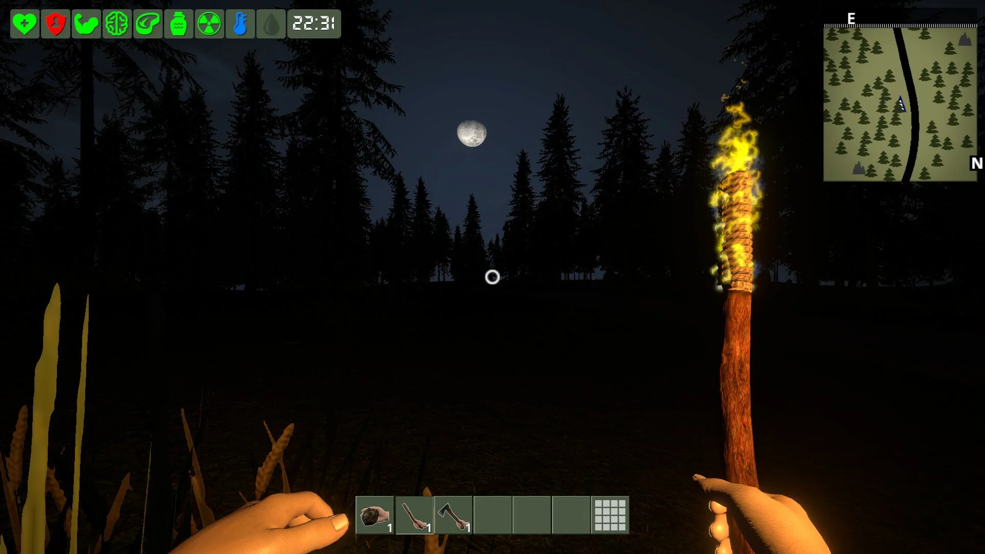 Изображение игры: The Survivor