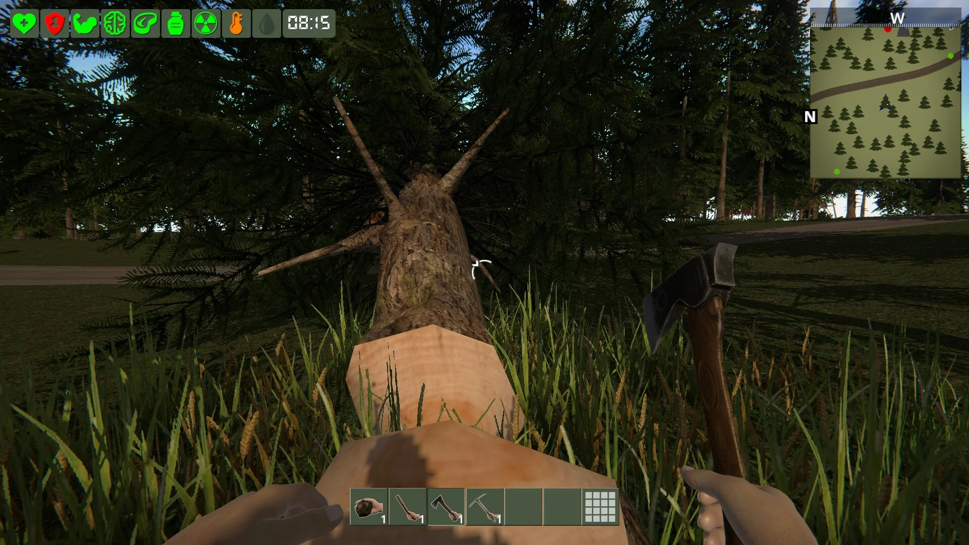 Изображение игры: The Survivor