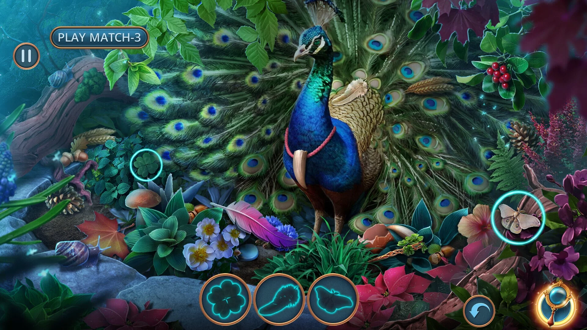 Изображение игры: Enchanted Stories: Mystic Woods Collector's Edition