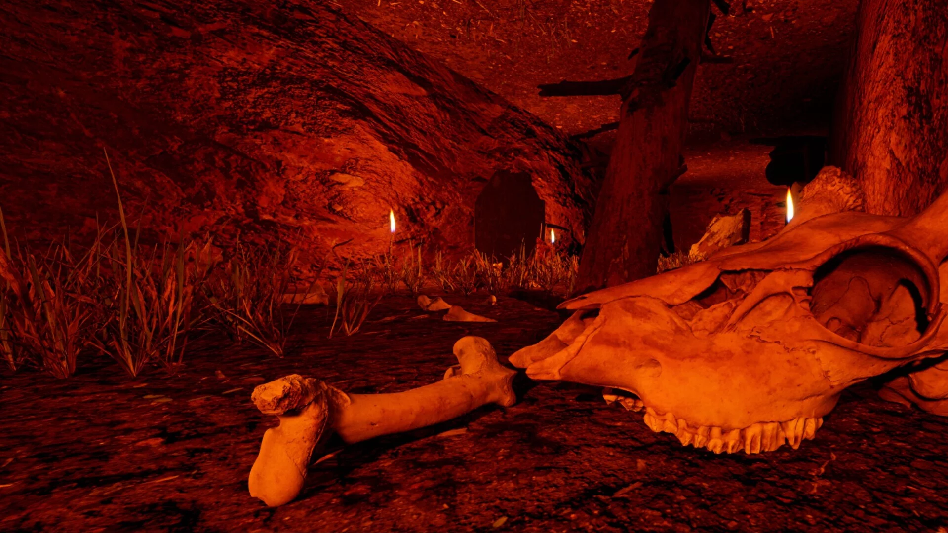Изображение игры: Stolen Life