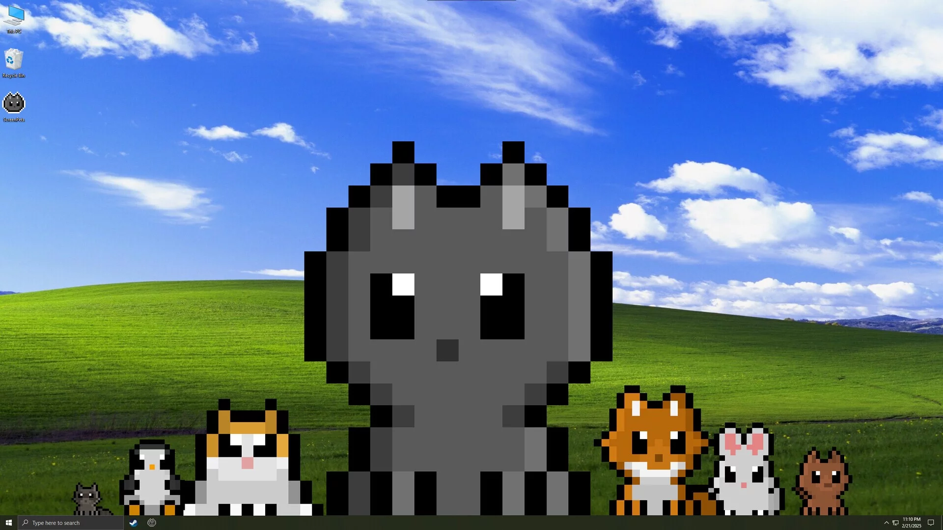 Изображение игры: Screen Pets