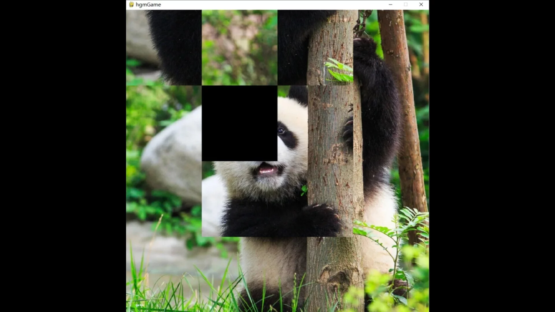 Изображение игры: hgmGame-panda