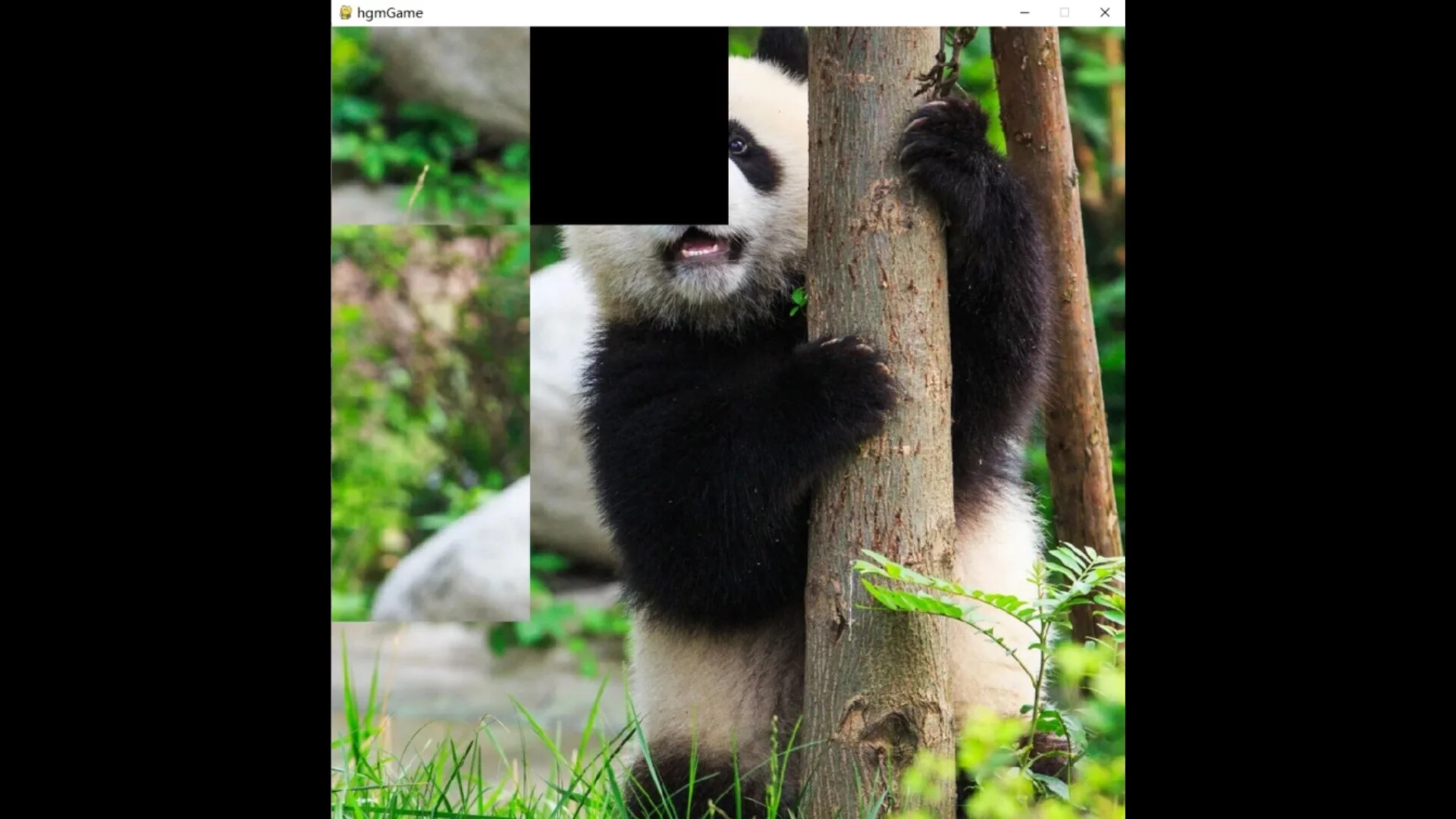 Изображение игры: hgmGame-panda