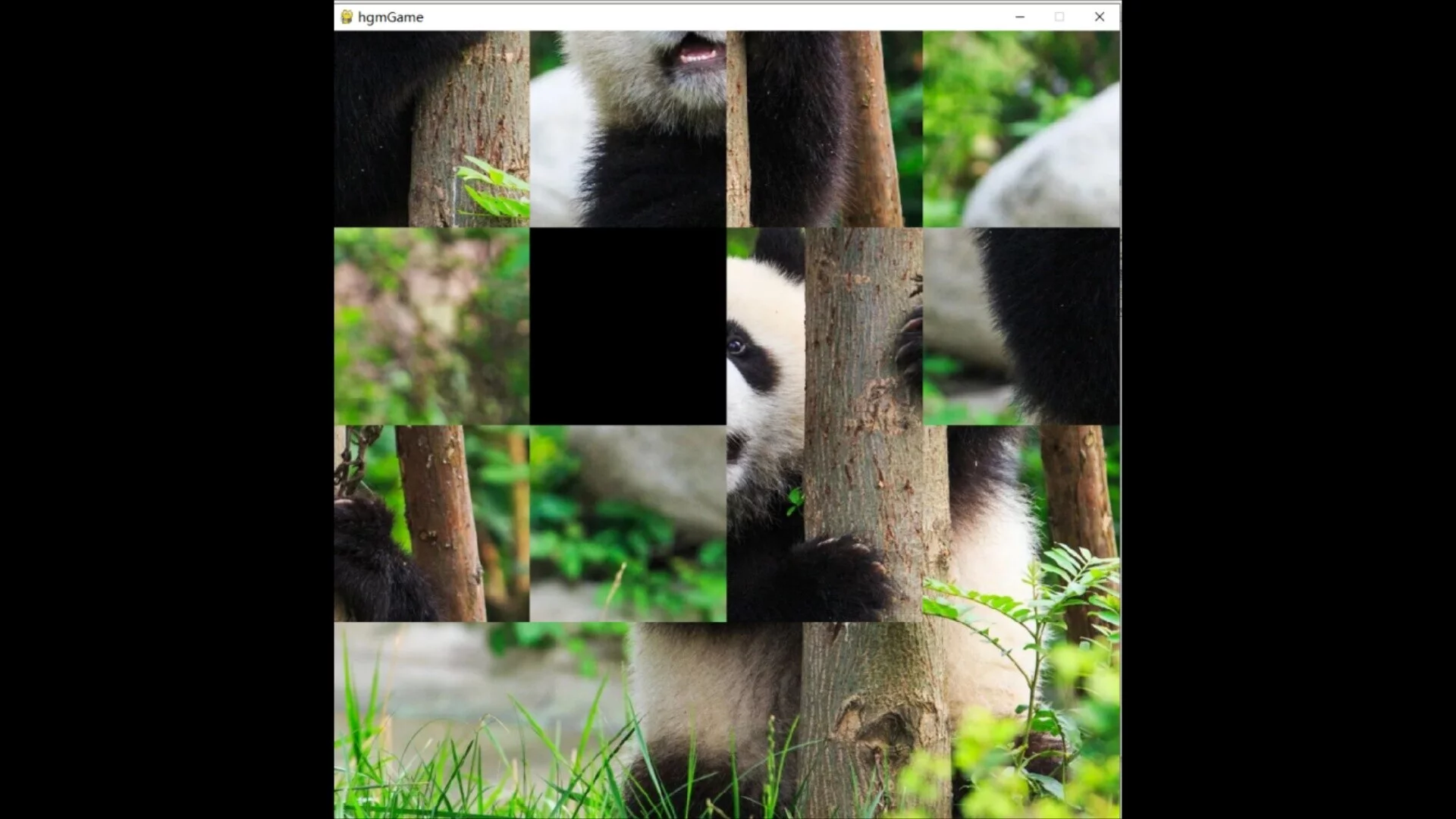 Изображение игры: hgmGame-panda