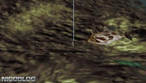 Изображение игры: Reel Fishing II