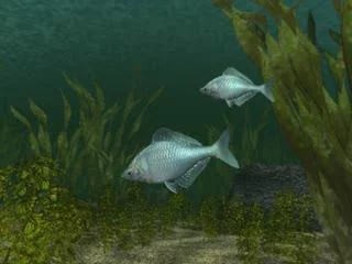 Изображение игры: Reel Fishing (1996)