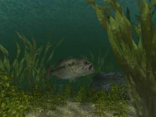 Изображение игры: Reel Fishing (1996)