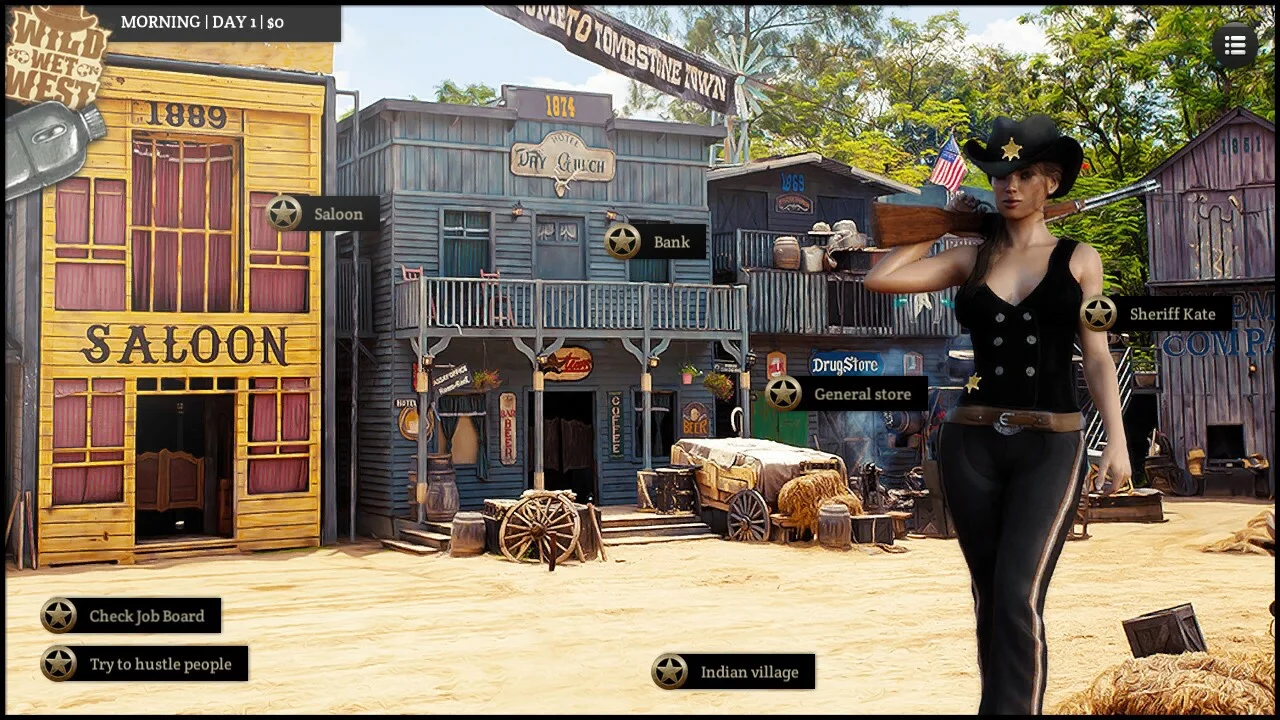 Изображение игры: Wild Wet West