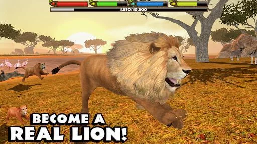 Изображение игры: Ultimate Lion Simulator