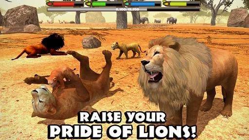 Изображение игры: Ultimate Lion Simulator