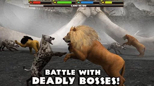 Изображение игры: Ultimate Lion Simulator