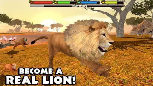 Изображение игры: Ultimate Lion Simulator