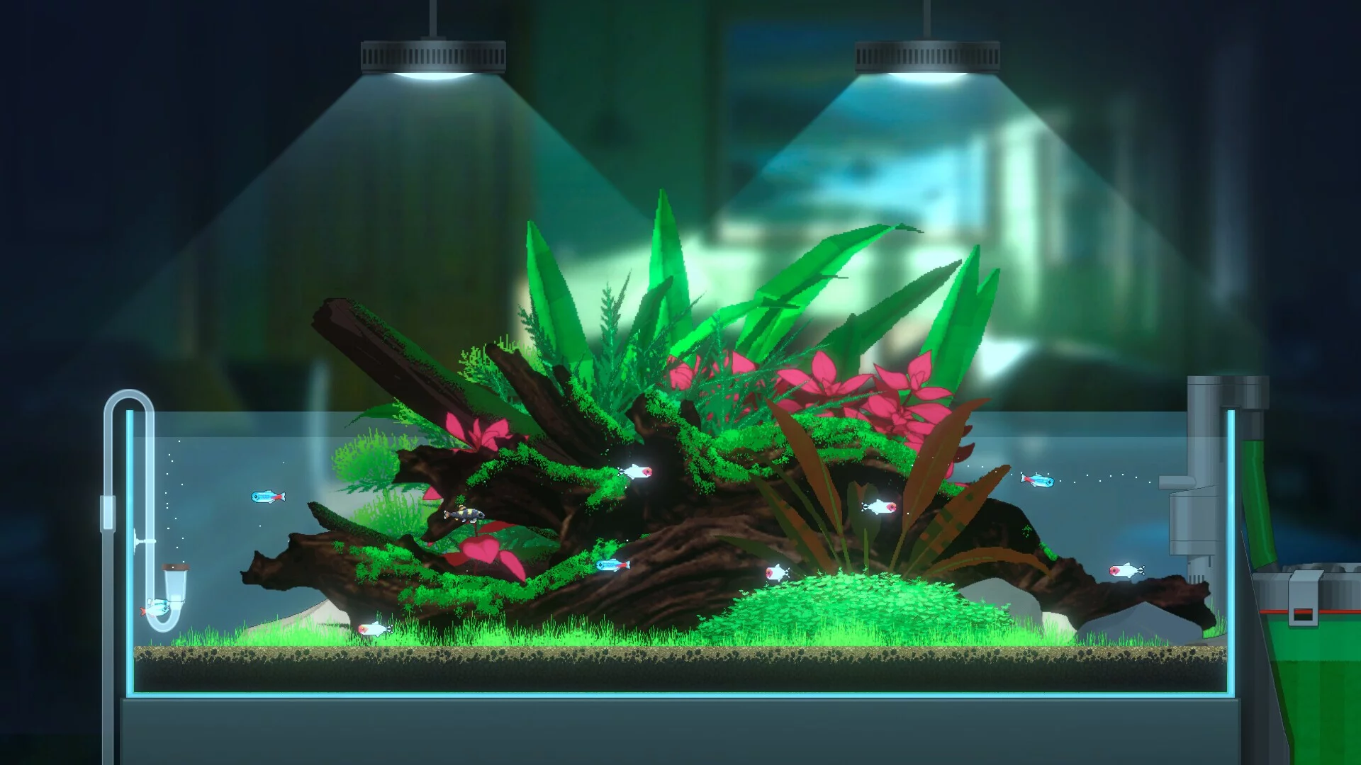 Изображение игры: Joyquarium