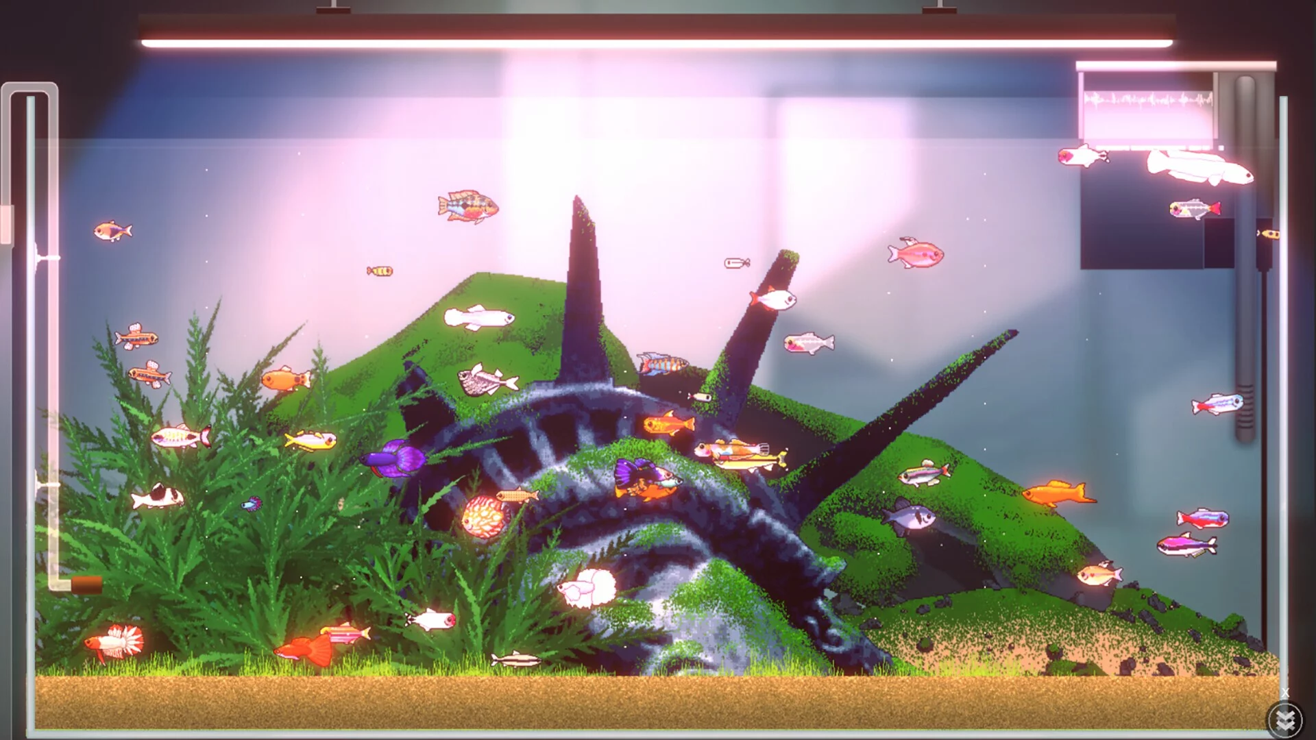 Изображение игры: Joyquarium